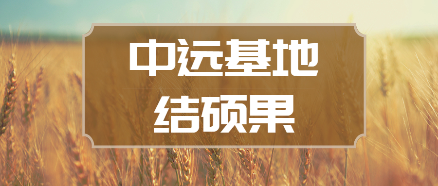 东莞中远基地首套导管架完工交付