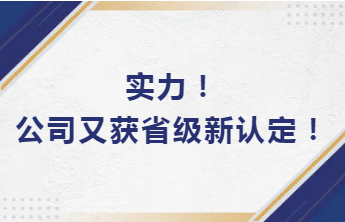 实力！公司又获省级新认定